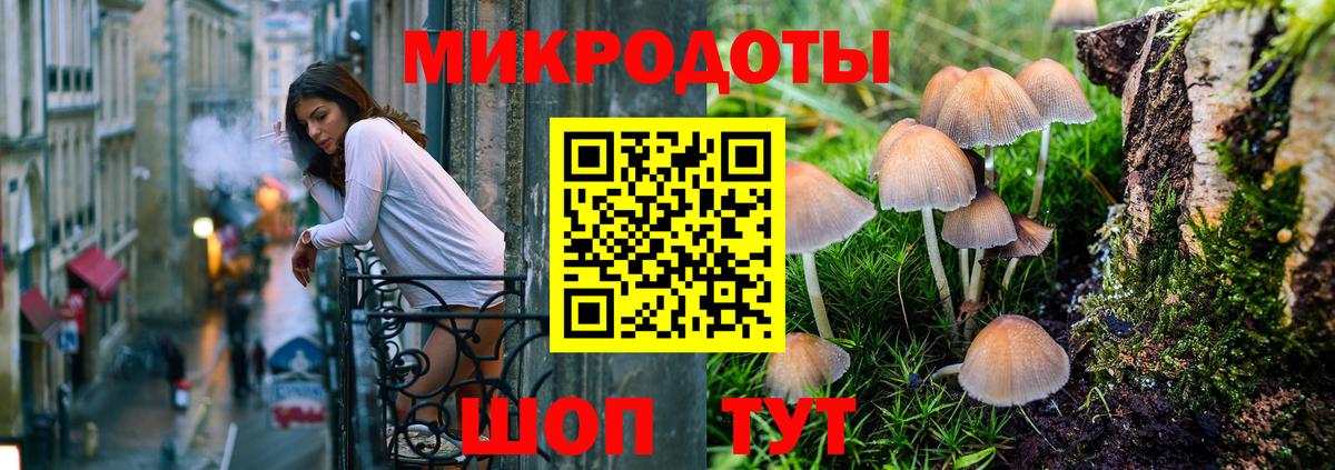 Красный Сулин  Галлюциногенные грибы MAGIC MUSHROOMS  Вход с VPN 
