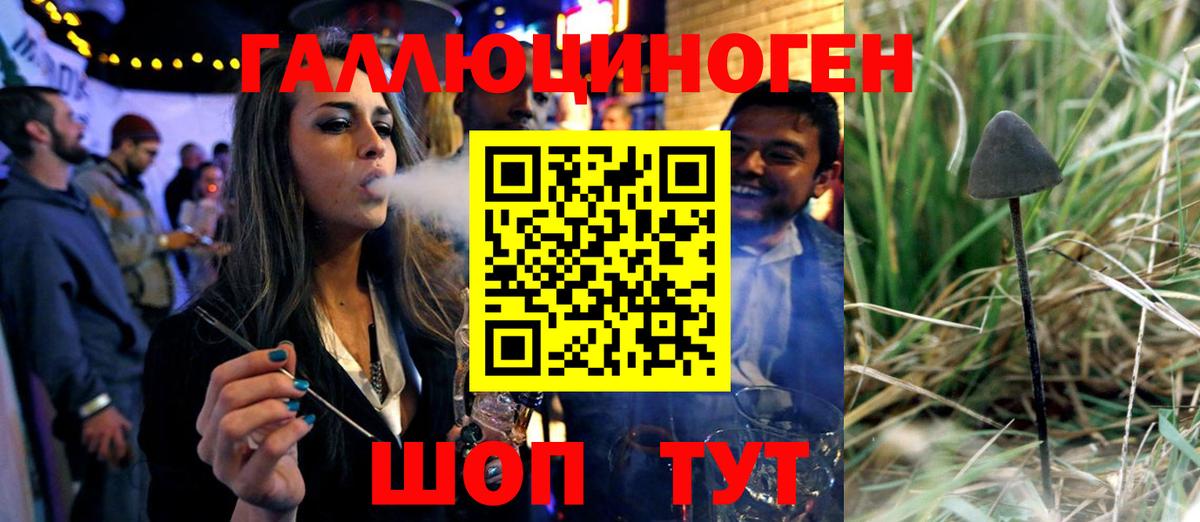 Псилоцибиновые грибы Cubensis Красный Сулин